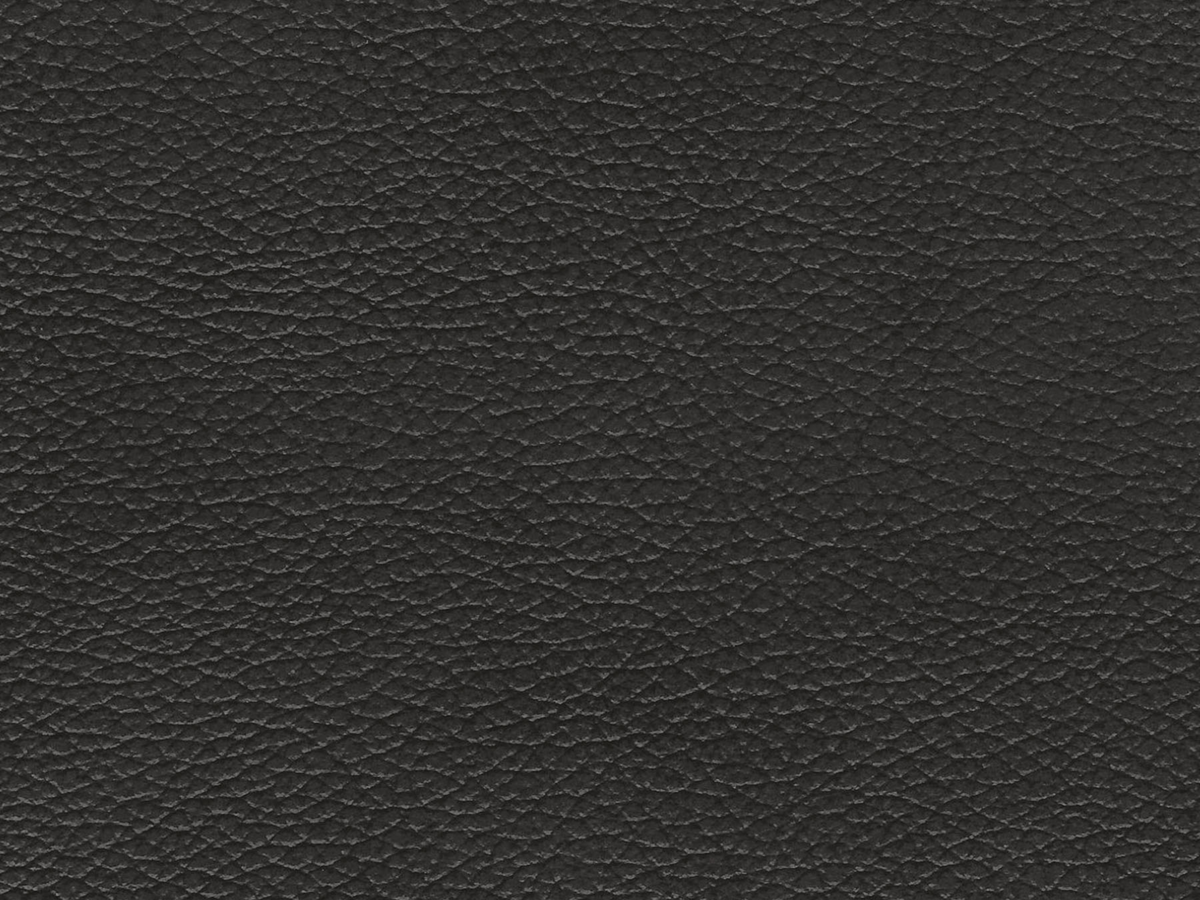 Austin Leather Sofa - Dark Gray