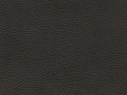 Austin Leather Sofa - Dark Gray