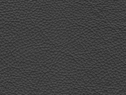 Cadence Top Grain Leather Chair - Dark Gray