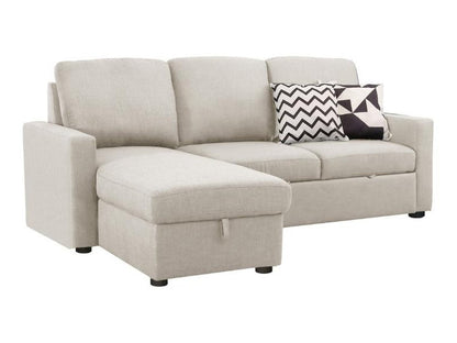 Newton Reversible Storage Sofa Bed Sectional - Beige